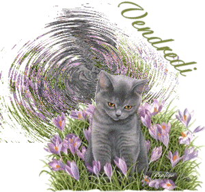 Gif animé Bon vendredi chat